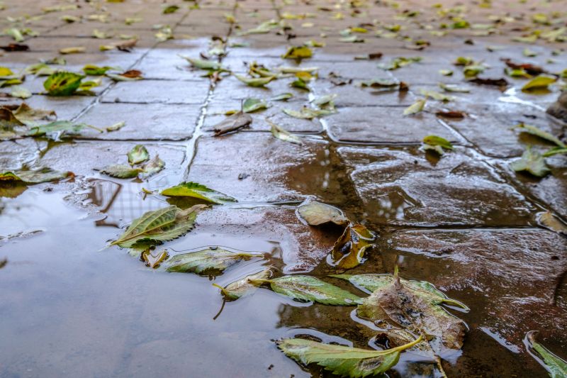 Decorative Concrete Repair in Roseville, CA