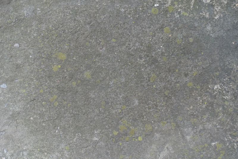 Cement Staining in Fort Worth, TX