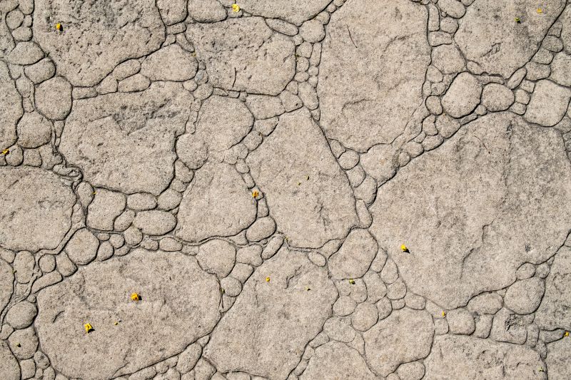 Decorative Concrete Repair in Alexandria, VA