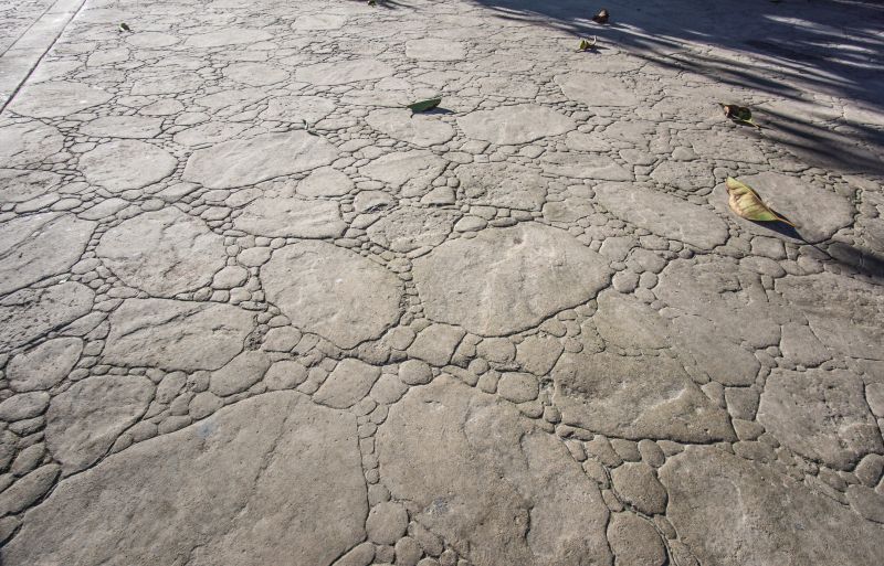Stamped Overlay Installation in Dallas, TX